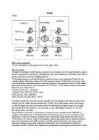 VLAN