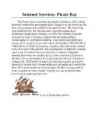 Internet Services-Pirate Bay
