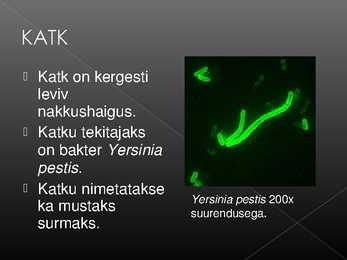 Esitlus katku kohta #2