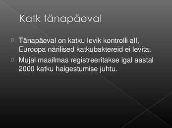 Esitlus katku kohta #8