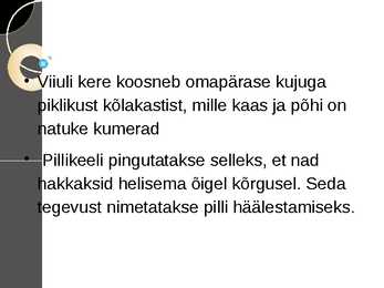 Viiul #4