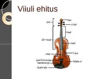 Viiul #5
