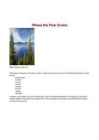 Pine trees #2