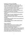 Äriplaani koostamine #7