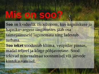 Sood #2