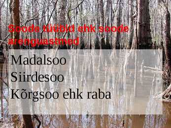 Sood #3