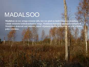 Sood #4