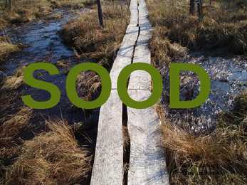 Sood