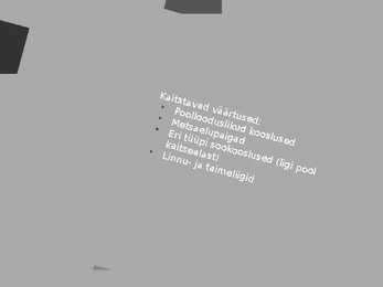 Tõrasoo looduskaitseala #3