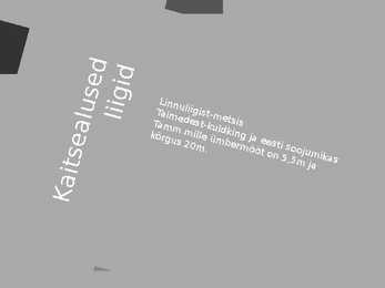 Tõrasoo looduskaitseala #5