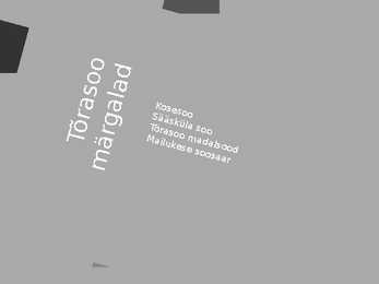 Tõrasoo looduskaitseala #6