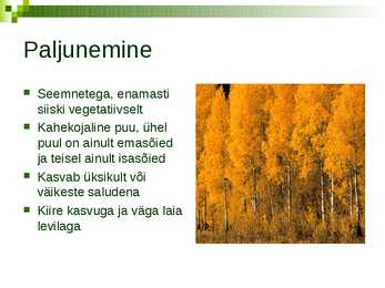 Harilik haab #5