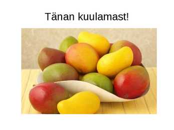Mango #13