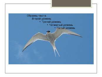 Schleswig-Holstein Power Point esitlus #12