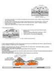 Geograafia eksamimaterjal #3