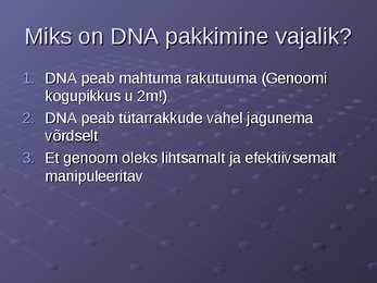 DNA ja RNA #17