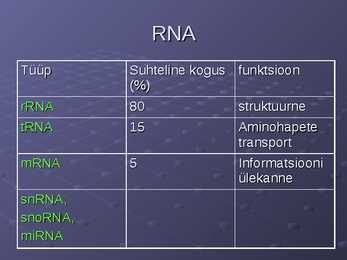 DNA ja RNA #25