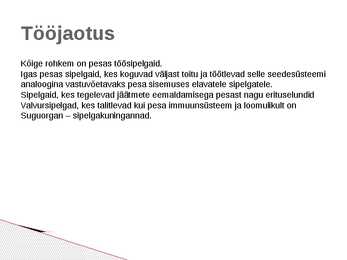 Sipelgas Formicidae #6