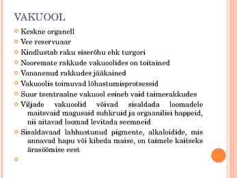 TAIMERAKK #3