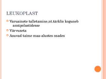 TAIMERAKK #5