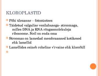 TAIMERAKK #6