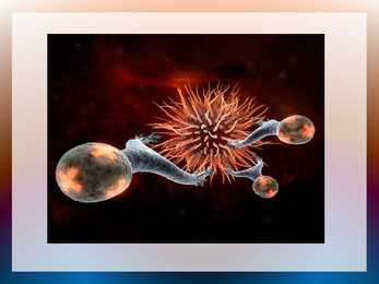 Antibiootikumid #12