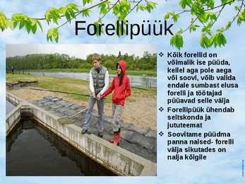 Sindi Forell #9