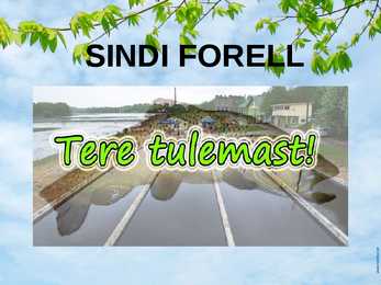 Sindi Forell