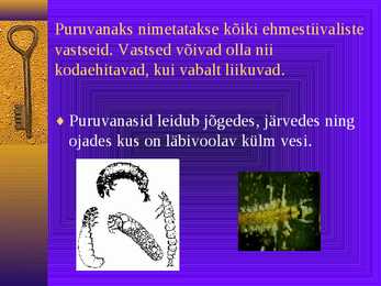 PURUVANA #2