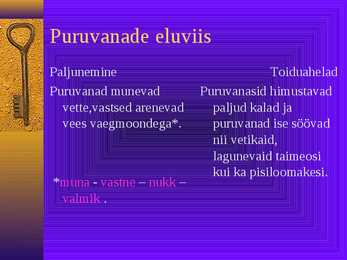 PURUVANA #3