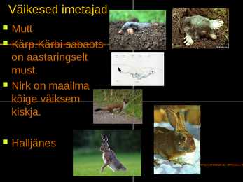 IMETAJAD NIIDUL #2