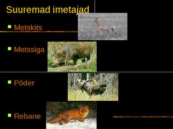 IMETAJAD NIIDUL #3
