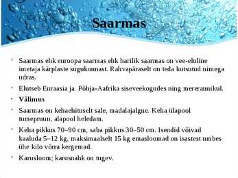 Järved #13