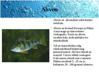 Järved #18