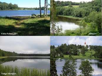 Järved #5