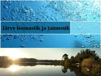 Järved #8