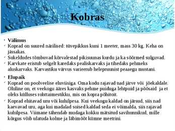 Järved #10
