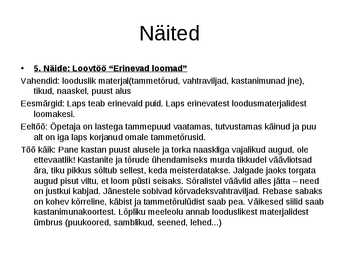 Loovtööd loodusõpetuses #11