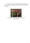 Mulgikultuur