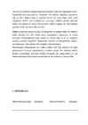PLEURIIT #4
