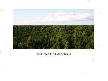 Viidumäe looduskaitseala