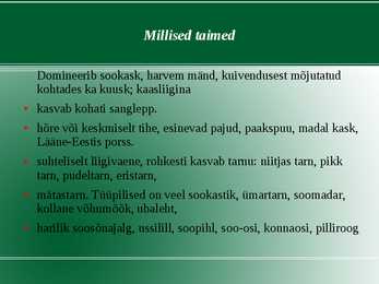 Madalsoo esitlus #2