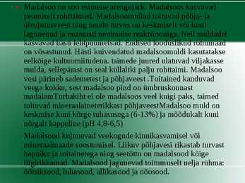 Madalsoo esitlus #4