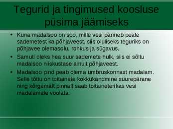 Madalsoo esitlus #5