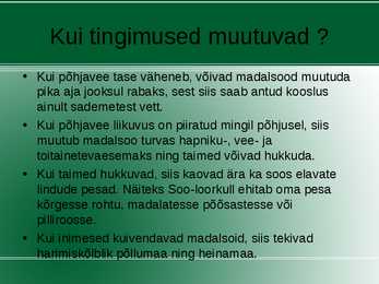Madalsoo esitlus #6