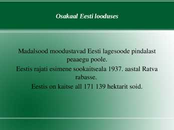 Madalsoo esitlus #8