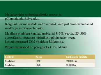 Madalsoo esitlus #9