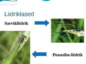 Liidriklased #2