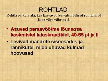 ROHTLAD #2