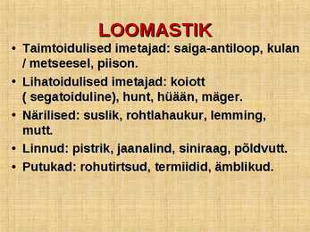 ROHTLAD #11